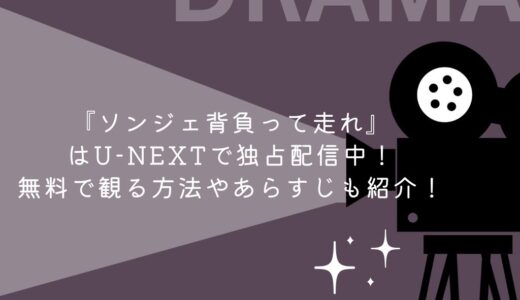 『ソンジェ背負って走れ』はU-NEXTで独占配信中！無料で観る方法やあらすじも紹介！