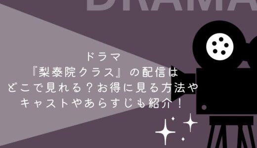 ドラマ『梨泰院クラス』の配信はどこで見れる？お得に見る方法やキャストやあらすじも紹介！